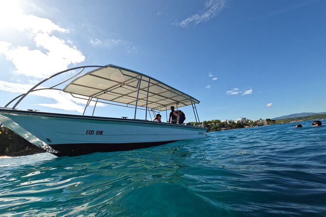 Puerto Plata Shore Excursion, Snorkeling tour & Sosua Beach Day - Guides, Safety, and the Little Details That Make It Worth It
