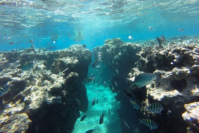 Puerto Plata Shore Excursion, Snorkeling tour & Sosua Beach Day - The Beach Break After Snorkeling: Where Your Day Becomes Comfortable