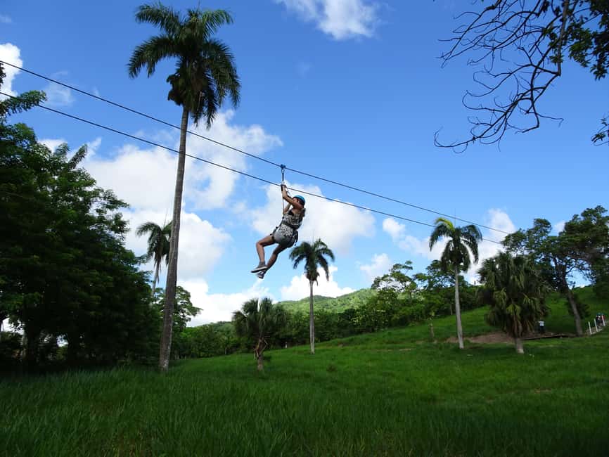Puerto Plata: Zip Line Adventure - Moderate Walking and How the Park Time Fits Together