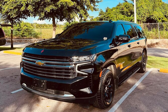 PUJ-Bavaro/Punta Cana (ONE WAY) LUXURY - How This Transfer Fits Your Trip Style