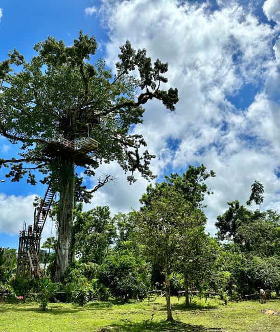 Punta Cana: 3-in-1 Adventure Haitises Park Waterfall Montaña - My take: should you book this Punta Cana 3-in-1 day trip?