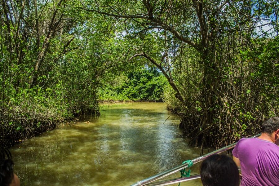 Punta Cana: 3-in-1 Adventure Haitises Park Waterfall Montaña - Price and logistics: what you’re really paying for at $149