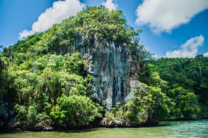 Punta Cana 3in1 Adventure: Los Haitises Park, Waterfall & Montaña - Top Reasons This 3-in-1 Adventure Works So Well