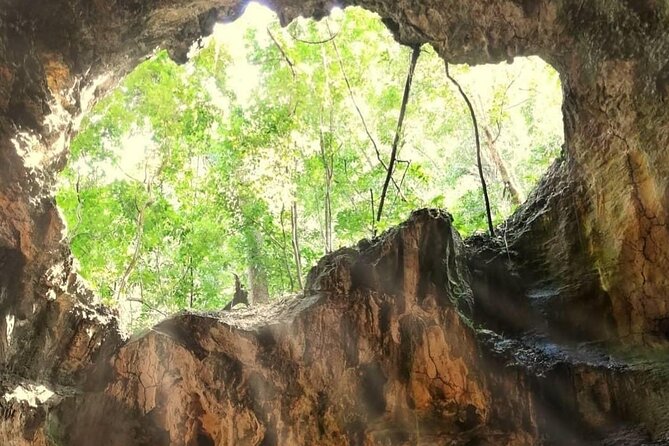 Punta Cana 3in1 Adventure: Los Haitises Park, Waterfall & Montaña - Food, Drinks, and What Lunch Actually Feels Like