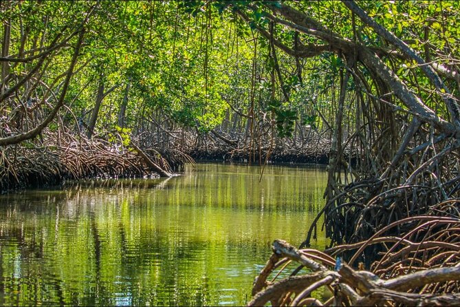 Punta Cana 3in1 Adventure: Los Haitises Park, Waterfall & Montaña - Price and Value: Is $139 a Good Deal?