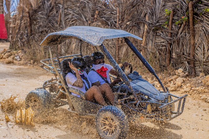 Punta Cana 4 Hours Buggy Tour Cave Macao Beach Free Pick Up - The rural Macao stop: coffee and cocoa tasting