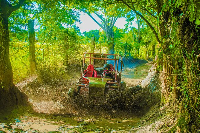 Punta Cana 4 Hours Buggy Tour Cave Macao Beach Free Pick Up - Macao Beach time: white sand, clear water, and public-access energy