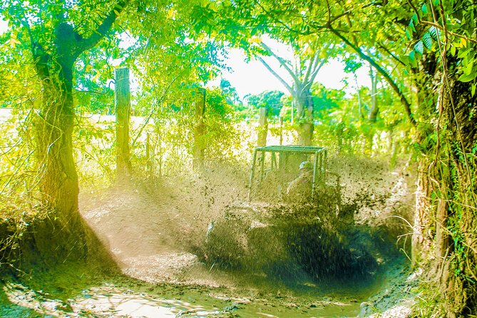 Punta Cana 4 Hours Buggy Tour Cave Macao Beach Free Pick Up - Price and value: is $35.70 a good deal?
