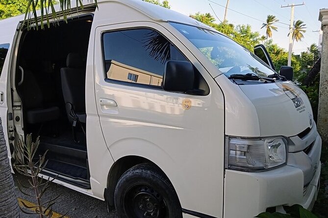 Punta Cana: Airport (PUJ) Shuttle To Hotel Round Trip - PUJ Arrivals Meet and Greet, With Luggage Sorted