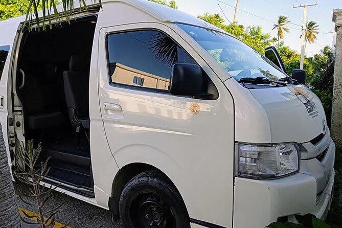Punta Cana Airport Shuttle to or from Airport - Meet-and-Greet Pickup at Punta Cana International Airport