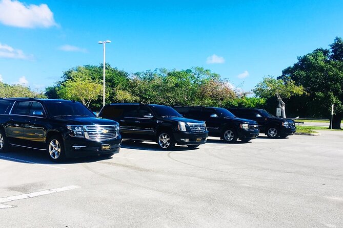 Punta Cana Airport Transfer Bavaro Suburban Trip - Timing the Transfer With Your Arrival Day