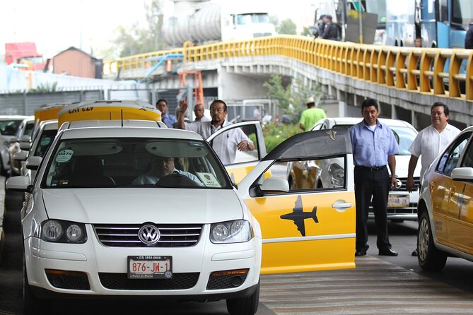 Punta Cana Airport Transfers - The Punta Cana pickup moment: how to reduce the risk of confusion