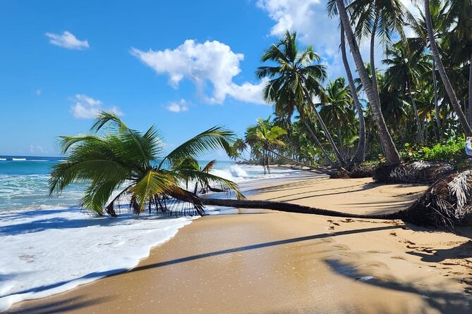 Punta Cana: Amazing ATV Adventure Private Road & Beach W/ PickUp - Hotel pickup and the trip to the ATV ranch