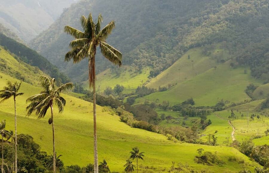 Punta Cana: Anamaya Mountains Walking Tour with Tasting - Quick hits