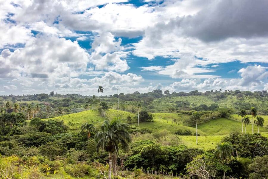 Punta Cana: Anamaya Mountains Walking Tour with Tasting - The rainforest edge and the reality of a true hike