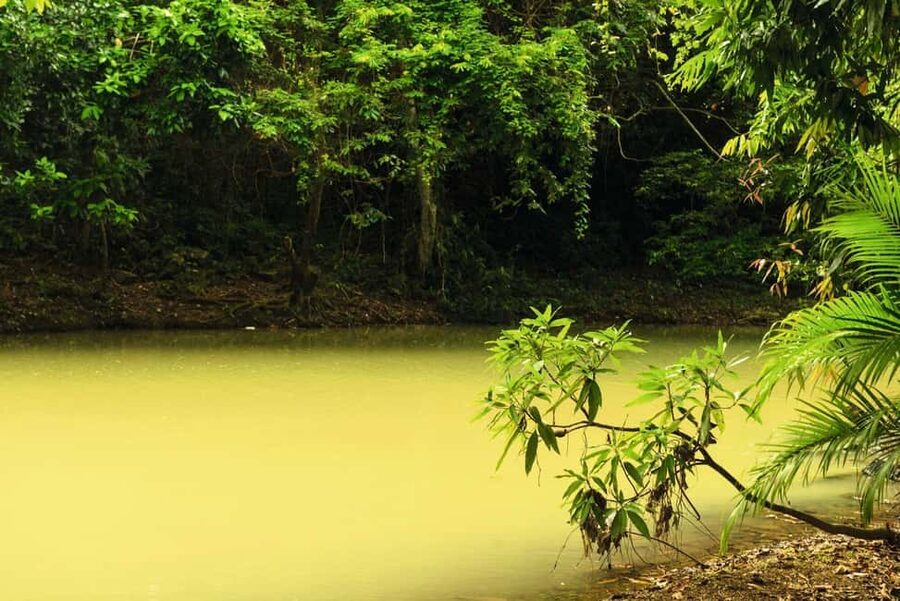 Punta Cana: Anamaya Mountains Walking Tour with Tasting - The tastings: what’s included and how to enjoy them