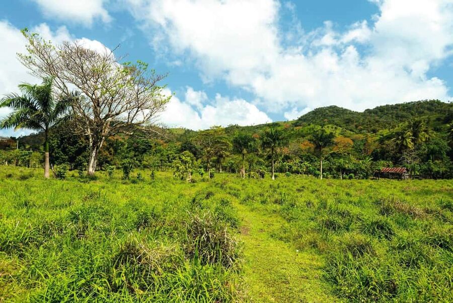Punta Cana: Anamaya Mountains Walking Tour with Tasting - Safety, comfort, and who should skip this hike