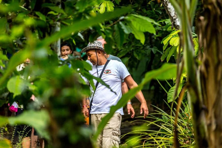 Punta Cana: Anamaya Mountains Walking Tour with Tasting - Pickup, timing, and the 4-hour rhythm