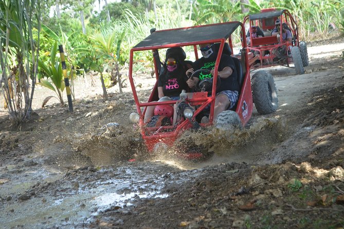 Punta Cana ATV Buggies Adventure from Santo Domingo Tour - Key points to know before you go