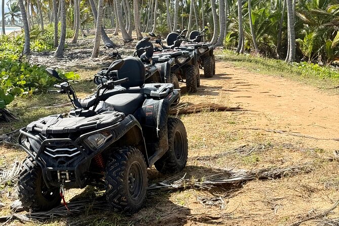 Punta Cana ATV: Jungle, Beach & River Small Group Tour - The final finish: river crossing adrenaline