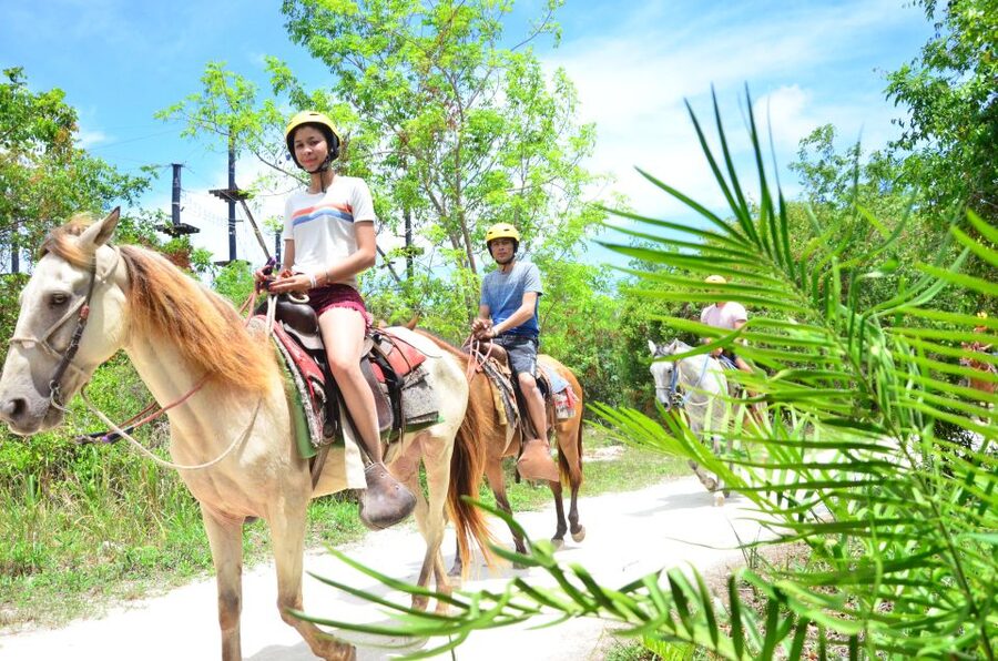 Punta Cana: Bávaro Adventure Park Horse Riding & Waterfalls - Who This Tour Suits Best (And Who Should Skip It)