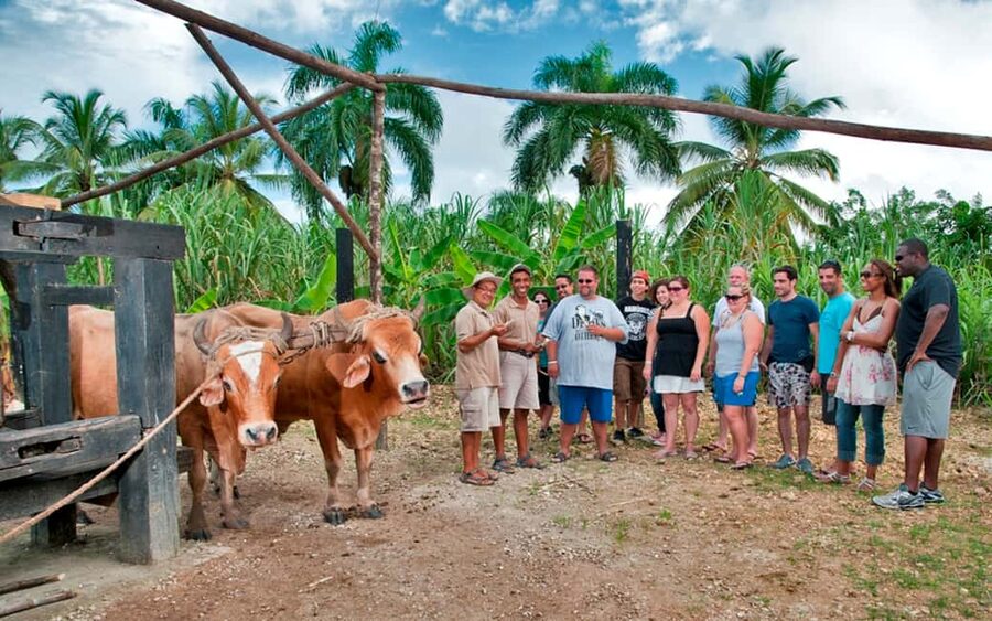 Punta Cana: Bavaro Runners Safari Tour - Horseback ride through Dominican countryside