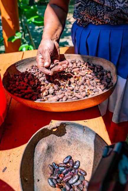 Punta Cana: Bavaro Runners Safari Tour - Cigar rollers craft: handwork from tobacco to roll