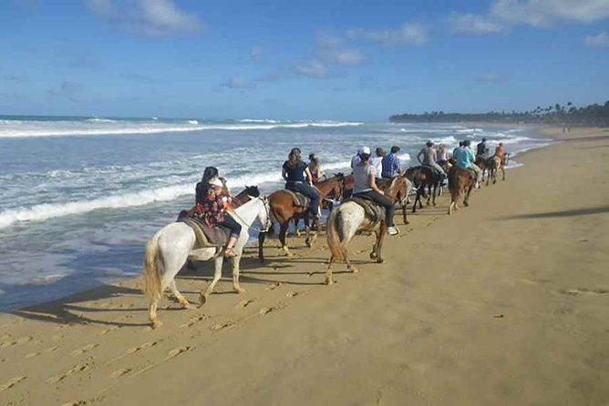 Punta Cana Beach Horseback Riding - Key Things I’d Plan Around