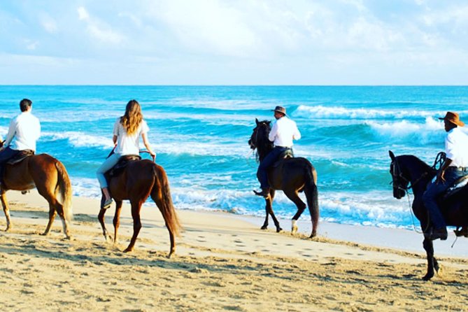 Punta Cana Beach Horseback Riding - Safety Gear and Horse Training: What You Get Before You Ride