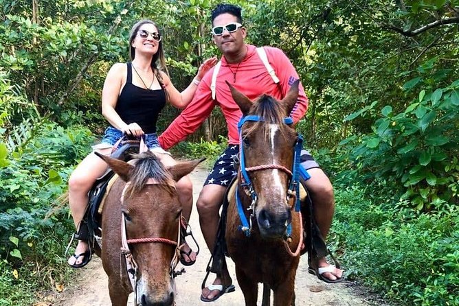 Punta Cana Beach Horseback Riding - Price and Value: Is $58 Worth It?