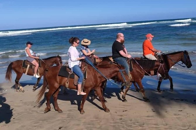 Punta Cana Beach Horseback Riding - Logistics You Can Get Right Before You Go