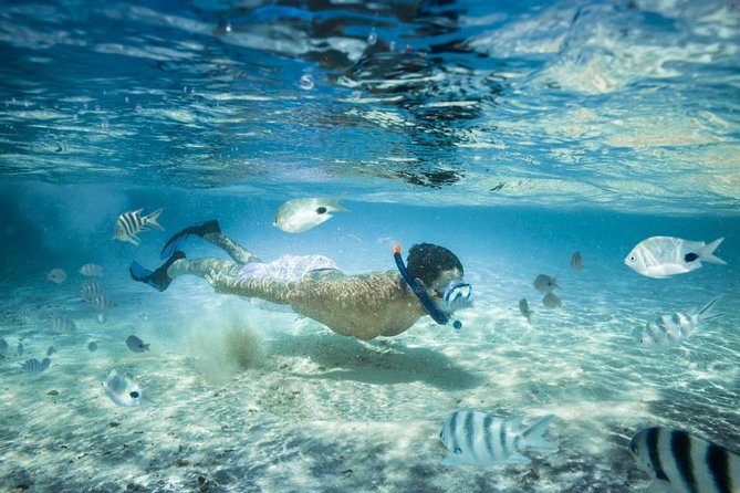 Punta Cana Booze Cruise with Snorkeling, Natural Pool & Open Bar - Key Things That Make This Cruise Worth Your Time