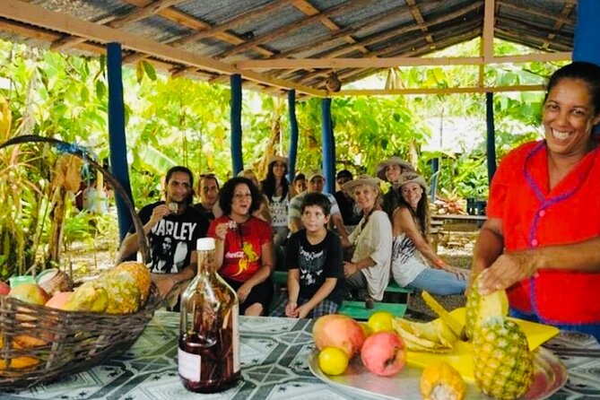 Punta Cana Buggy Adventure - Cacao production at a traditional house: small lesson, real-world flavor
