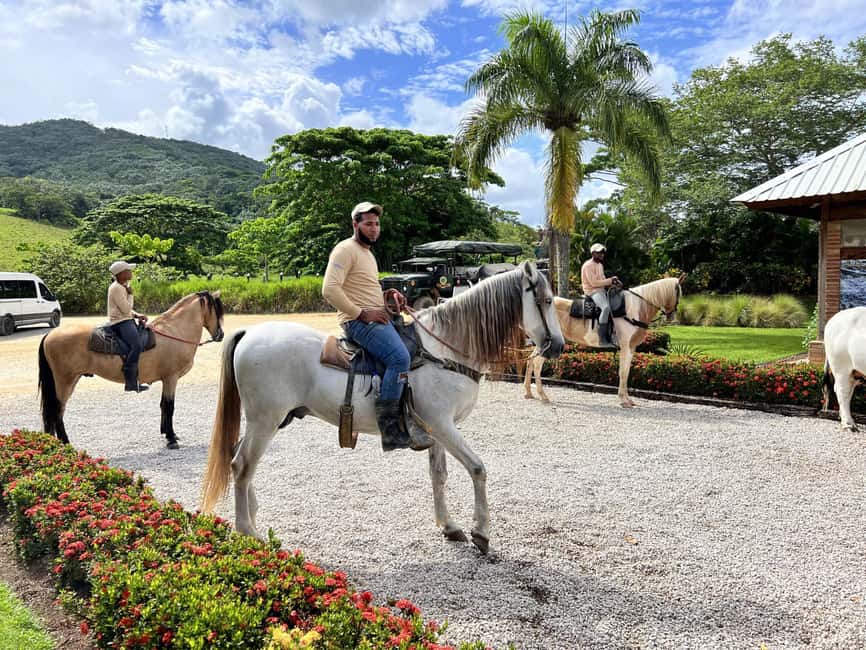 Punta Cana: Buggy and Zipline Adventure at La Hacienda - La Hacienda, what you are really buying in Monte Plata Province