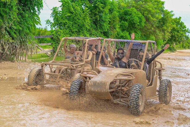 Punta Cana Buggy with Chocolate, Coffee & Cave Swim - Six Jungle Zip Lines: Height, Distance, and Staying Calm