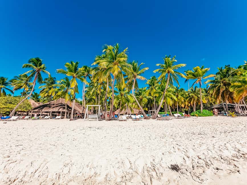 Punta Cana: Catamaran Boat to Saona Island with Buffet Lunch - Who Should Book This Punta Cana Saona Excursion (and Who Should Skip)