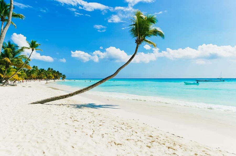Punta Cana: Catamaran Boat to Saona Island with Buffet Lunch - Should You Book This Punta Cana Catamaran to Saona Island Tour?