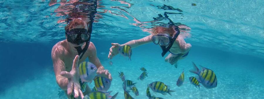 Punta Cana: Catamaran Family Tour - Who should book this catamaran family tour?