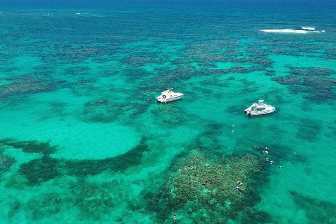 Punta Cana: Catamaran Tour, Reef Snorkeling and Unlimited Drinks! - Key highlights to decide fast