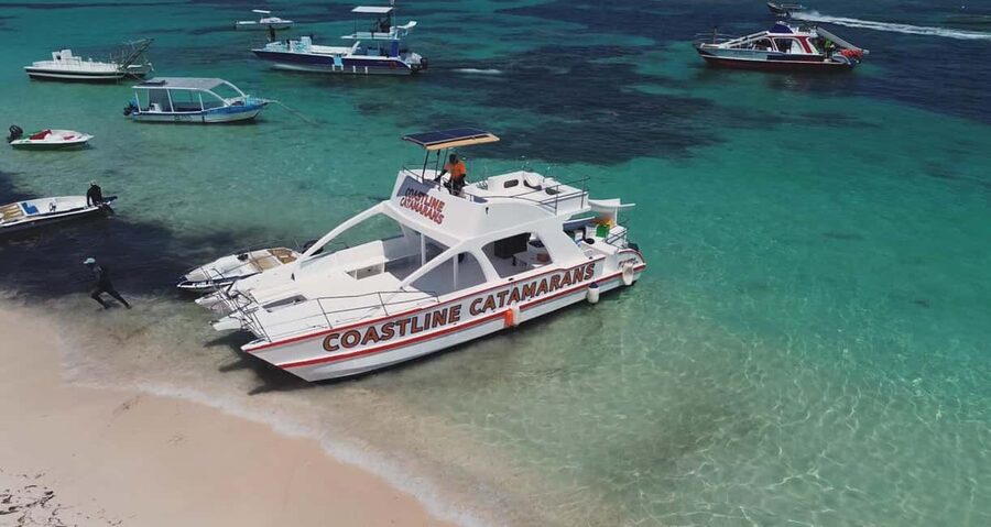 Punta Cana: Catamaran Tour with Reef Snorkeling and Open Bar - Key Things That Matter Most on This Punta Cana Catamaran