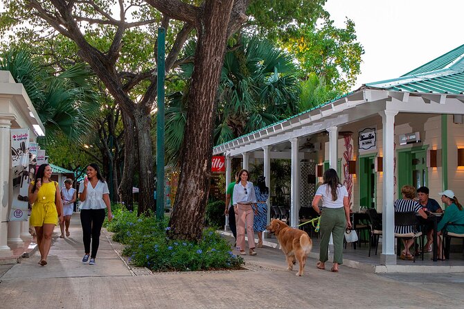 Punta Cana City Tour Explore the Heart of the City - Why Punta Cana City Tour feels different than a resort day