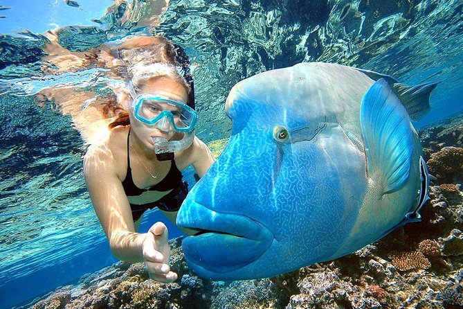 Punta Cana Combo Tour: Snorkeling, Catamaran Cruise & Parasailing - Your 4.5-Hour Plan: Snorkel, Party Cruise, Then Fly