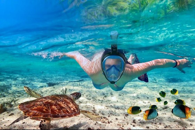 Punta Cana Combo Tour: Snorkeling, Catamaran Cruise & Parasailing - What Can Go Wrong, and How to Reduce the Chances