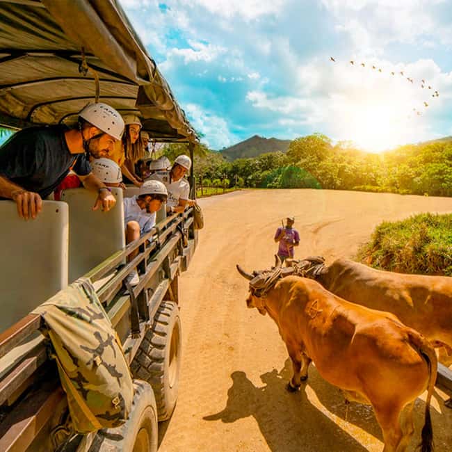 Punta Cana Cultural Tour History and Traditions Small Group - Key highlights
