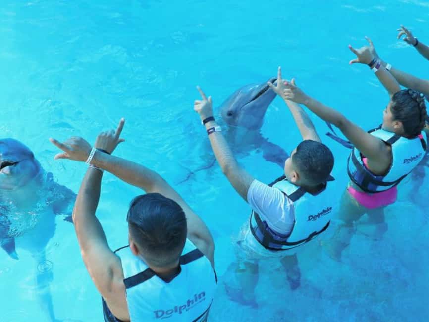 Punta Cana: Dolphin Explorer Park Entry, Swim, or Encounter - Key things to know before you go