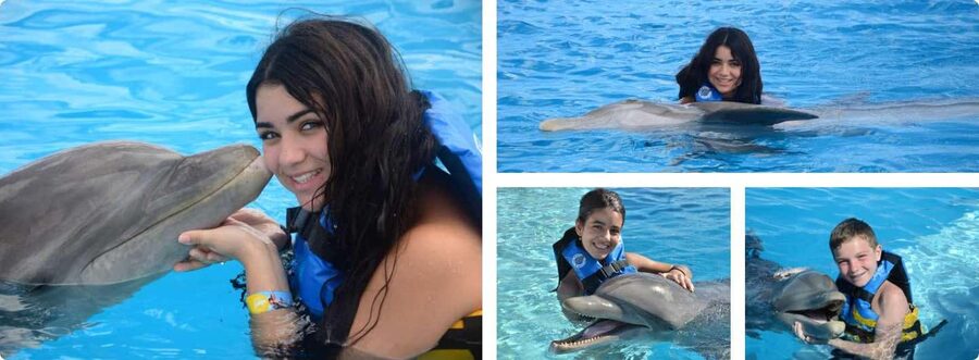 Punta Cana: Dolphin Explorer Park Entry, Swim, or Encounter - The on-site flow: dolphin time, acrobatics, and Pirate Island breaks
