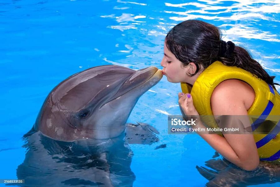 Punta Cana: Dolphin Explorer Park Entry, Swim, or Encounter - Price, photo add-ons, and how to judge the real value