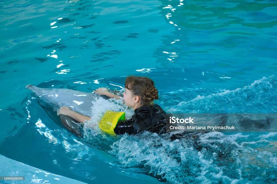 Punta Cana: Dolphin Explorer Park Entry, Swim, or Encounter - Practical tips that make the day smoother
