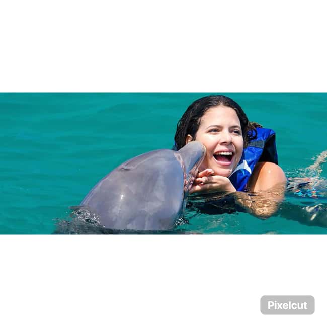 Punta Cana: Dolphin Explorer Park Entry, Swim, or Encounter - Three dolphin options, and how to choose the right one