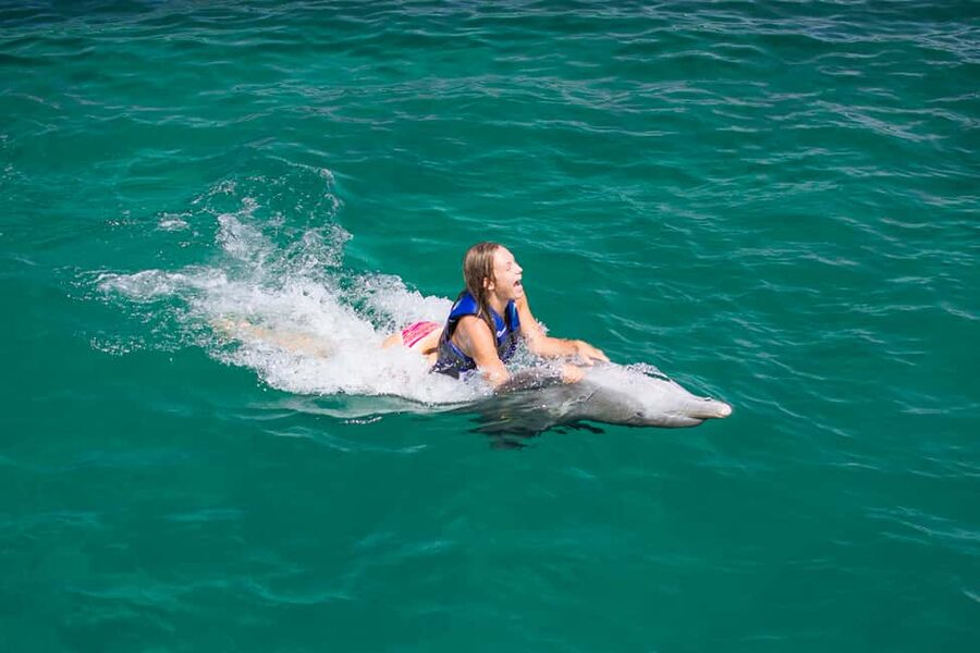 Punta Cana: Dolphin Explorer Swims and Interactions - Conservation talk that does not feel like filler